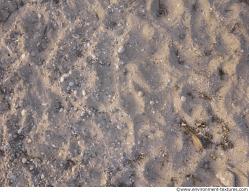 Photo of Mixed Textures